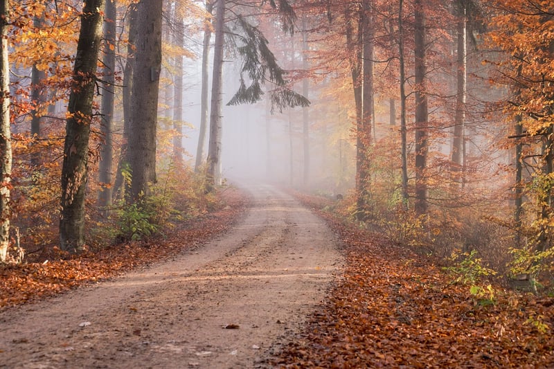 Road to Success