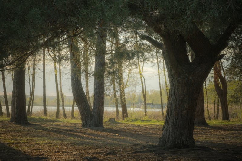Nature Walk